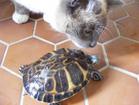 Fais moi un bisous!